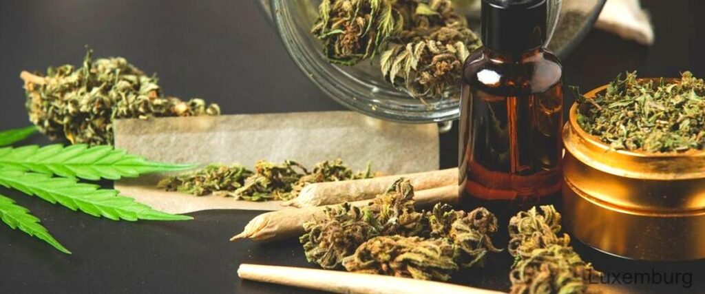 Déi 3 bescht Cannabisläden zu Lëtzebuerg