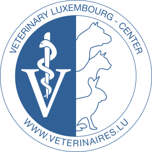 Cedar veterinary office