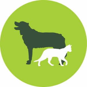 Den Numm vun der Entreprise ass Dogwalker