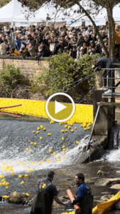 Duck Race RT Luxembourg